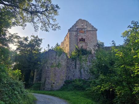 Burgruine Minneburg