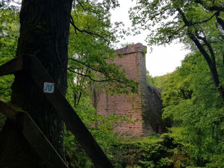 Burgruine Stolzeneck