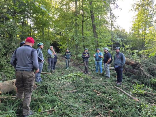 Bürgermeister Bernhard Knörzer mit Gemeinderäten, Forstbetriebsleiterin Elena Höhn (Mitte) und Revierförster Dominik Ernst bei einem Ortstermin im Neunkirchener Wald.